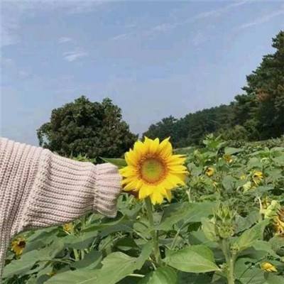 重型大卡车模拟驾驶游戏手机版下载